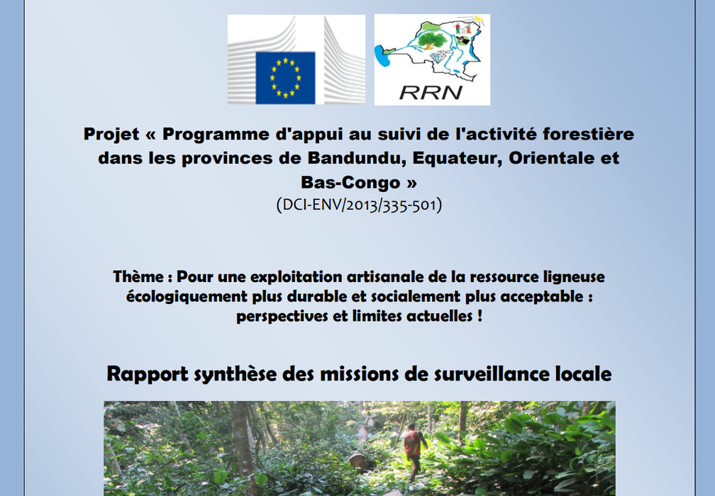 Thème : Pour une exploitation artisanale de la ressource ligneuse écologiquement plus durable et socialement plus acceptable : perspectives et limites actuelles ! Rapport synthèse des missions de surveillance locale