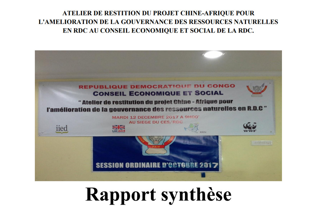 ATELIER DE RESTITION DU PROJET CHINE-AFRIQUE POUR L’AMELIORATION DE LA GOUVERNANCE DES RESSOURCES NATURELLES EN RDC AU CONSEIL ECONOMIQUE ET SOCIAL DE LA RDC, Rapport